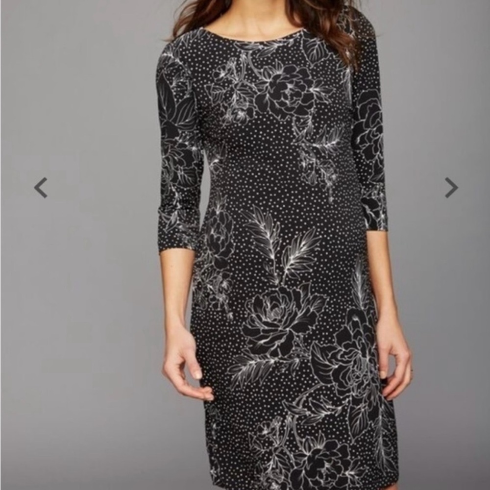Taylor for Pea in the Pod Maternity Shift Dress